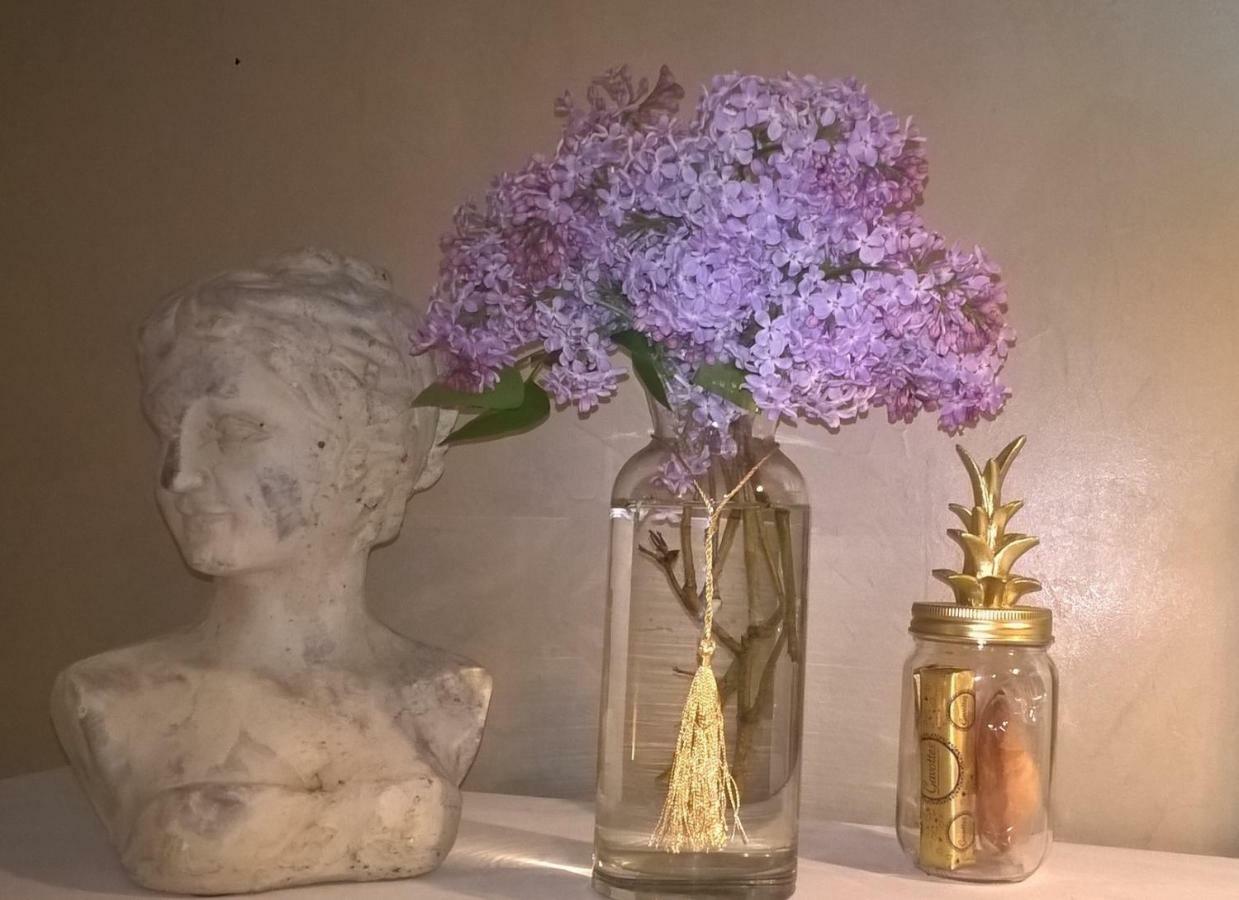 Le Clos Manceau Bed and Breakfast Le Mans Esterno foto
